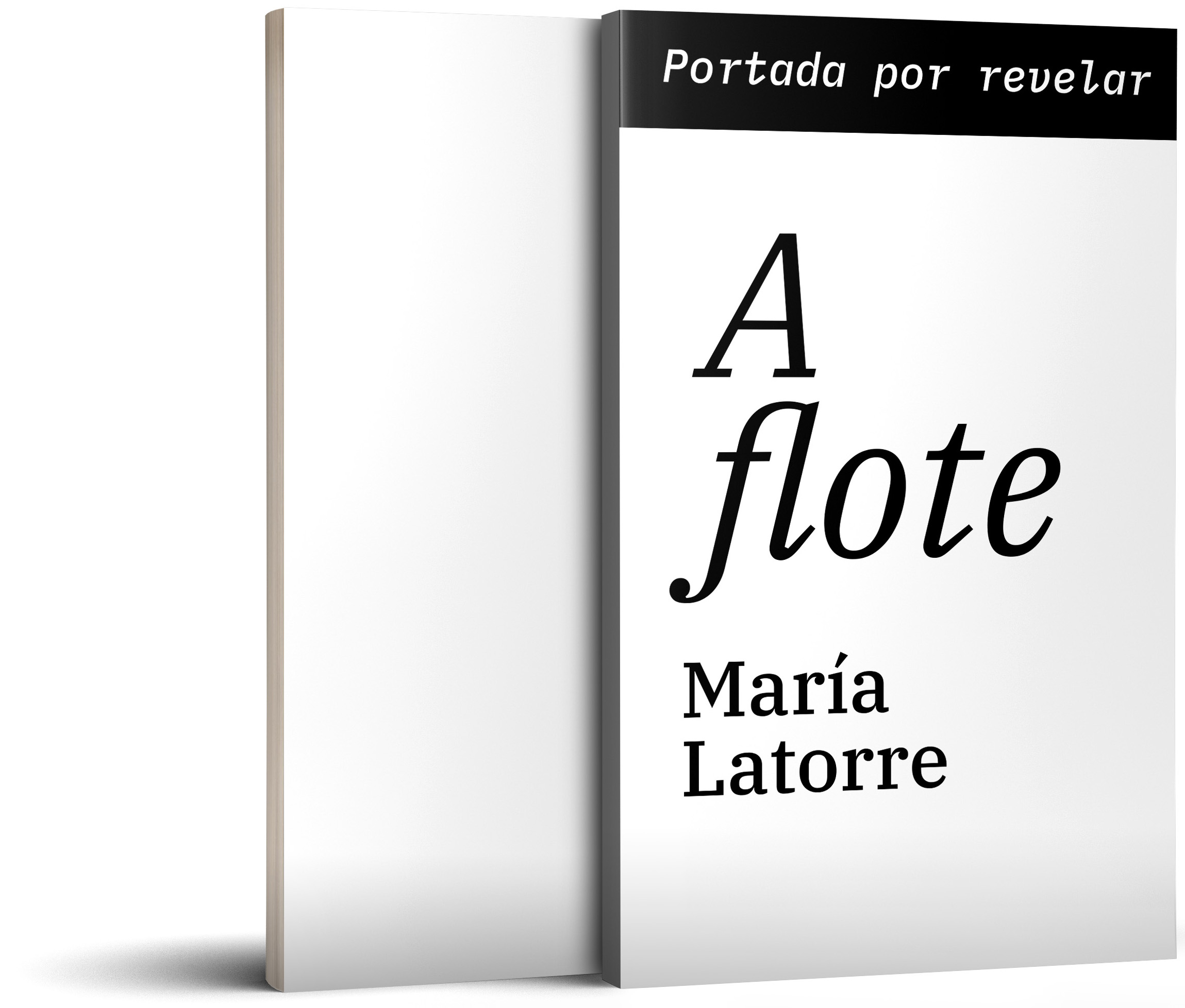 aflote_mockup_ficha_2026